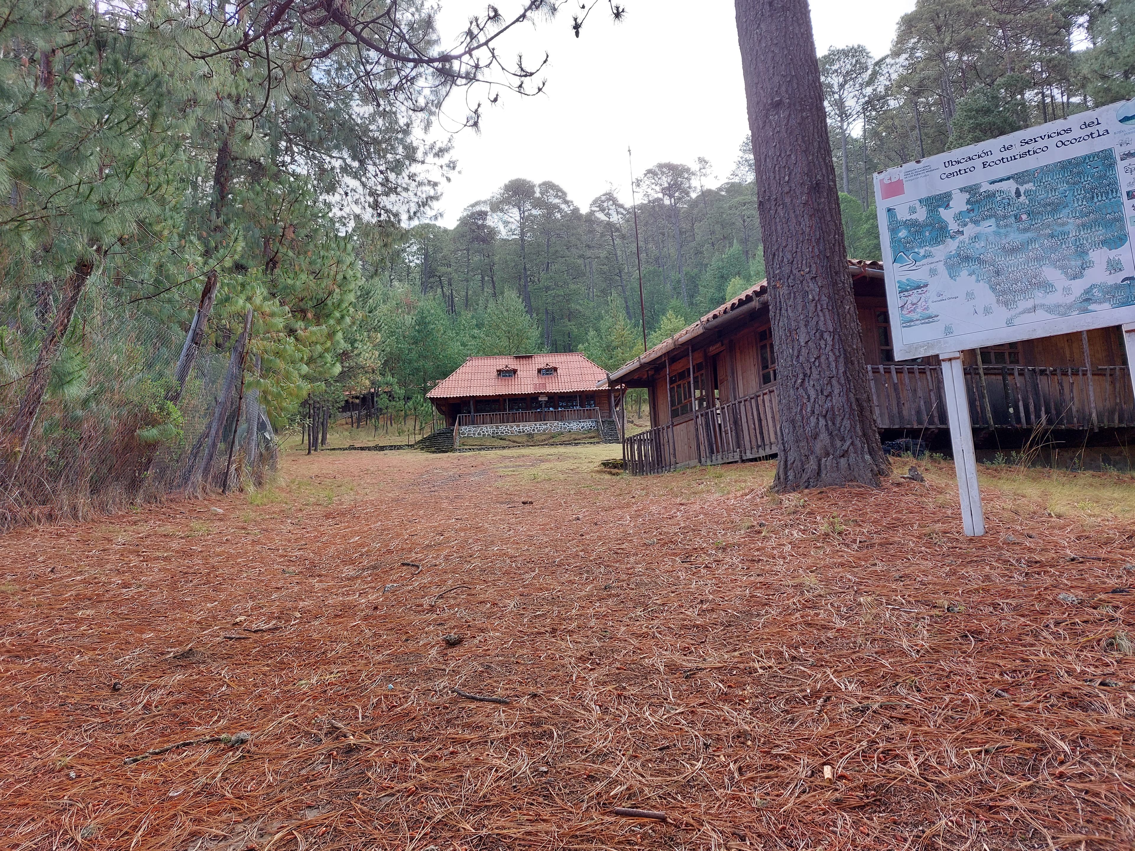 Hileras de vivero Fitoaxioma