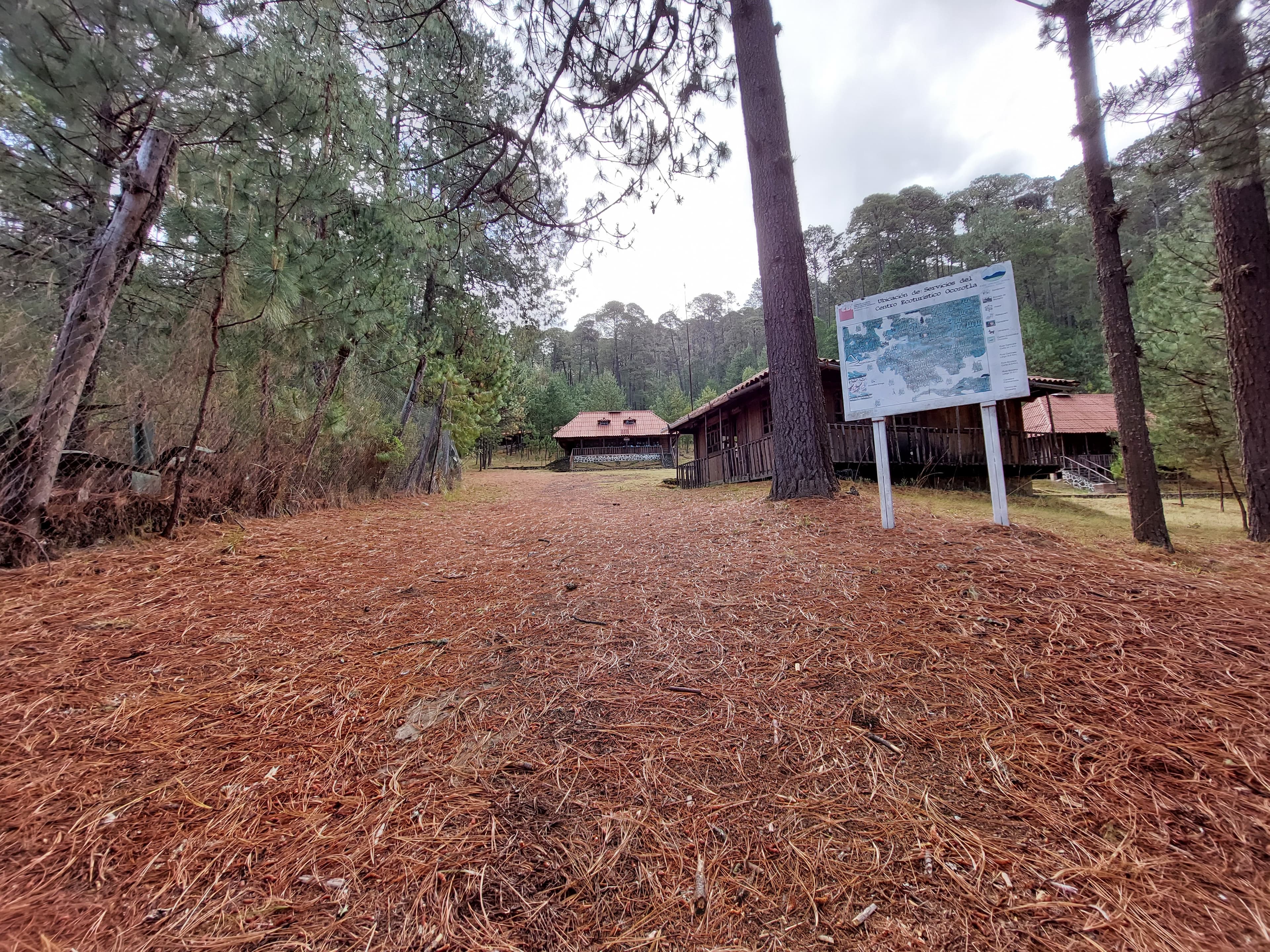 Vista del vivero de manzanos