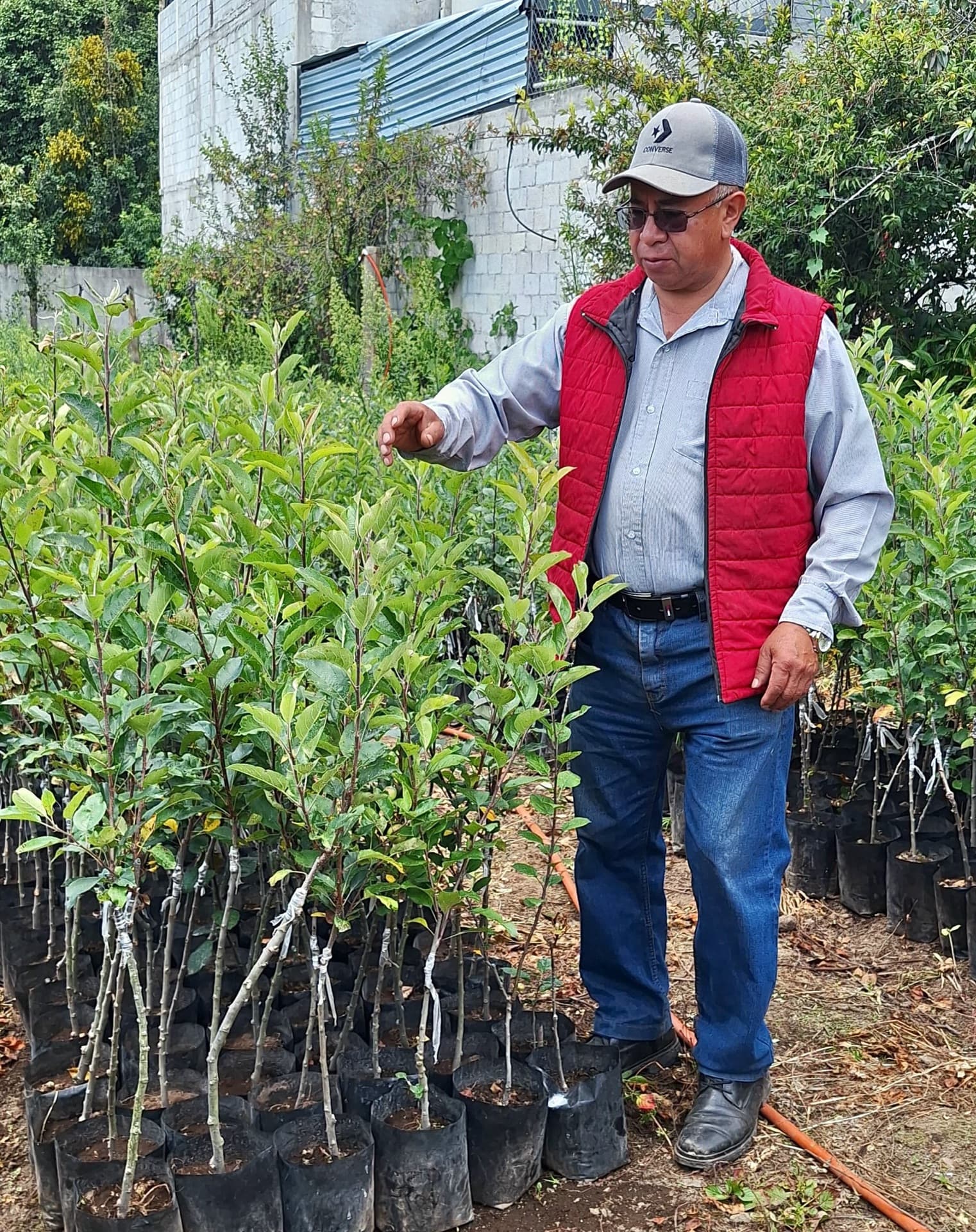 Ing. Alberto Hernández Ortiz